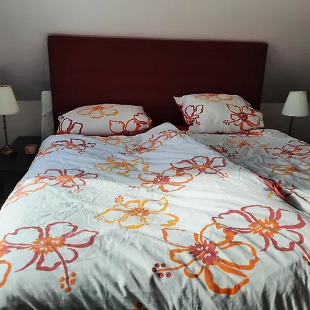 Holiday home Yachthof Ferienwohnung, 60 M² Scheid (Waldeck-Frankenberg)