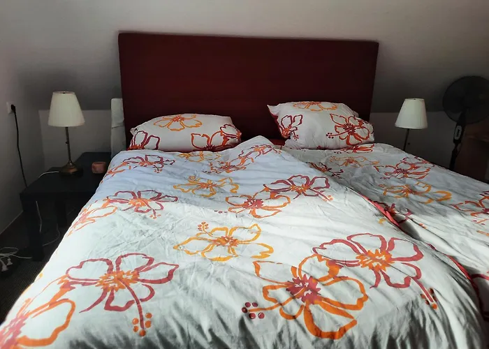 度假居 Yachthof Ferienwohnung, 60 M² *